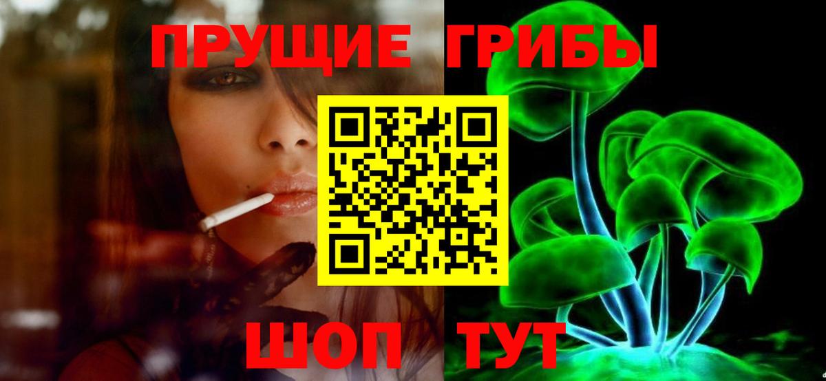 Псилоцибиновые грибы мицелий Карачаевск
