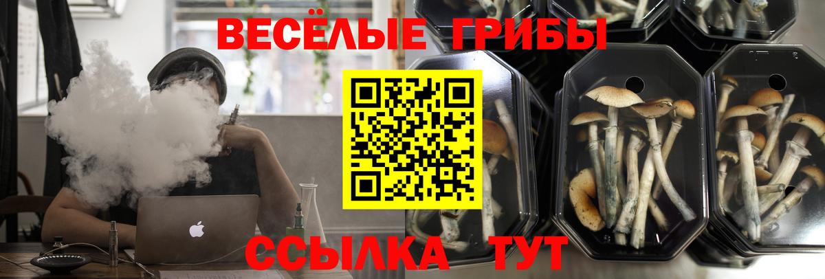 Карачаевск  Галлюциногенные грибы GOLDEN TEACHER  Вход с VPN  Галлюциногенные грибы мухоморы 